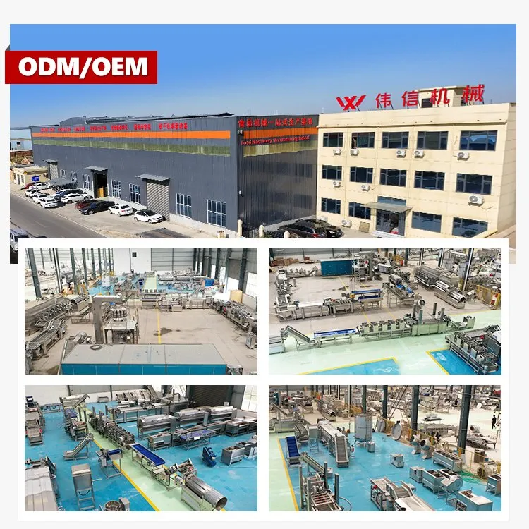 Company Factory Showcase
