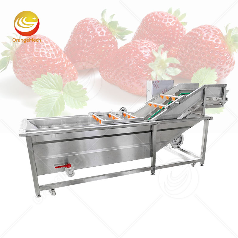 سعة الماء 500liter آلة تنظيف الغسيل بالفقاعات معدات الغسيل منظف الأوزون للفواكه والخضروات السعر