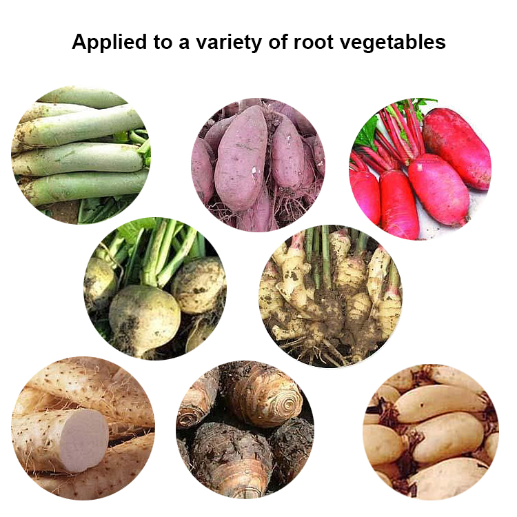 آلة تقطيع الخضار والفواكه متعددة الوظائف التجارية الأوتوماتيكية SUS304 قاطع ومقطع بصل من الفولاذ المقاوم للصدأ آلة تقطيع مكعبات الفلفل الأخضر