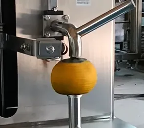 مكونات آلة التقشير