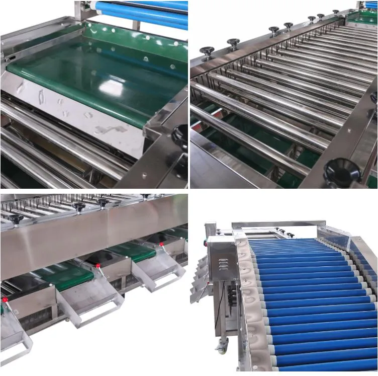 آلة فرز الخضروات الجذرية والفواكه آلة فرز الطماطم والجزر وآلة فرز الخيار