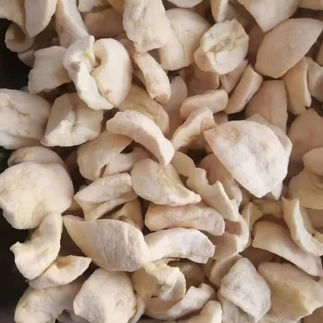 المصنع