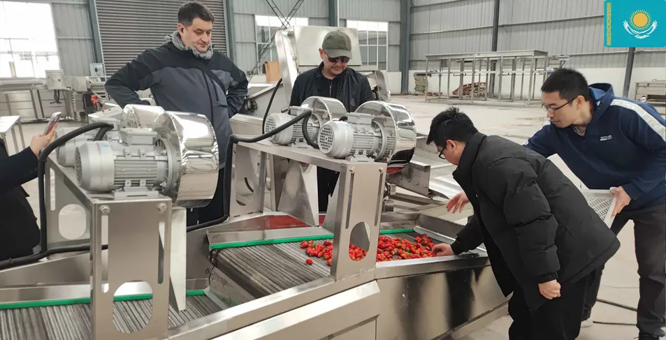 Kazakhstan Fruit Washing Line Visit