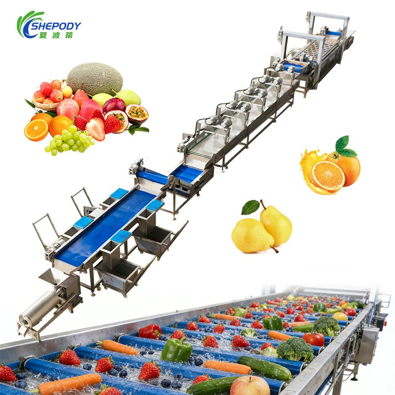 1500kg Fruit and Vegetable Washing Cleaning Processing Line for Quality Assurance