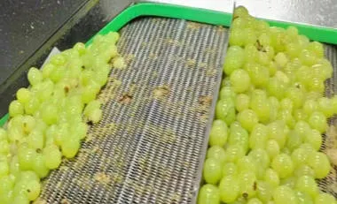 جودة تقشير عالية