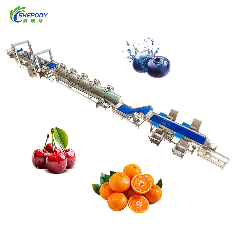 1500kg Fruit and Vegetable Washing Cleaning Processing Line for Quality Assurance