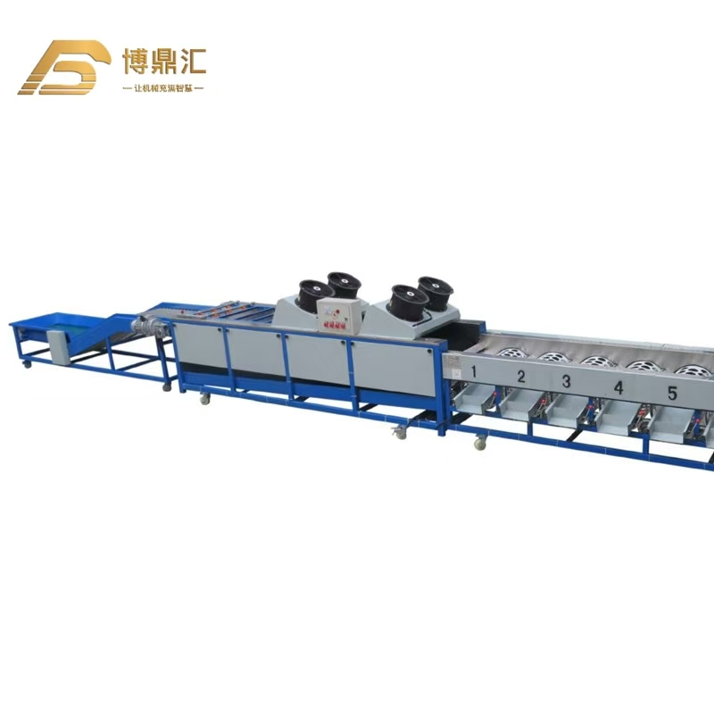Potato Tomato Orange Fruit Apple Lemon Washing Drying Sorting Grading Machine
