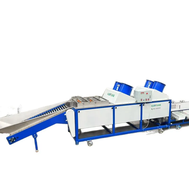 Potato Tomato Orange Fruit Apple Lemon Washing Drying Sorting Grading Machine
