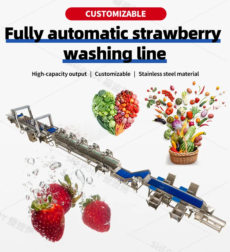 Product Description Details