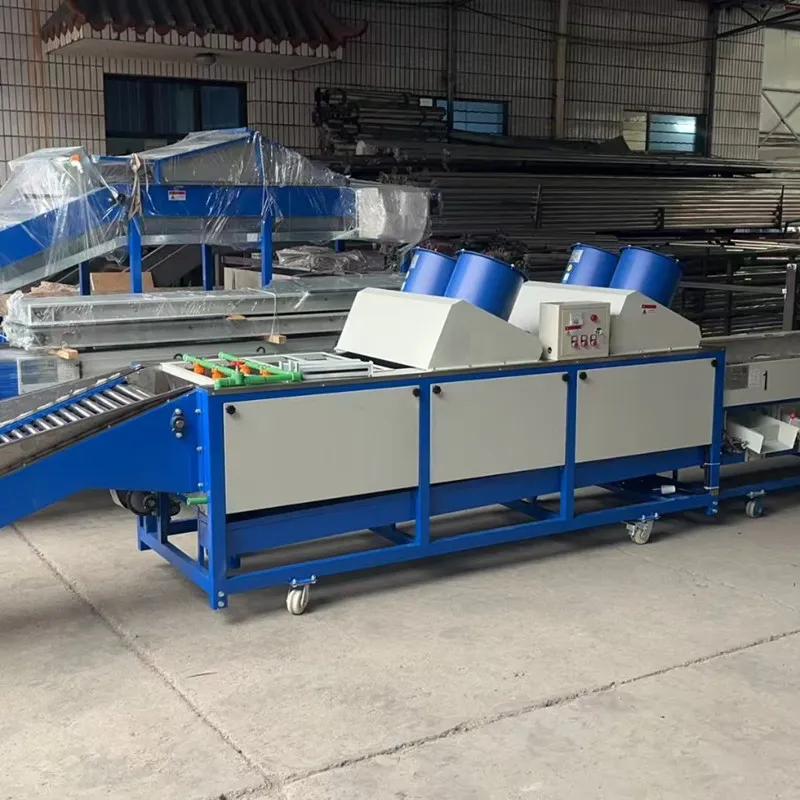 Potato Tomato Orange Fruit Apple Lemon Washing Drying Sorting Grading Machine
