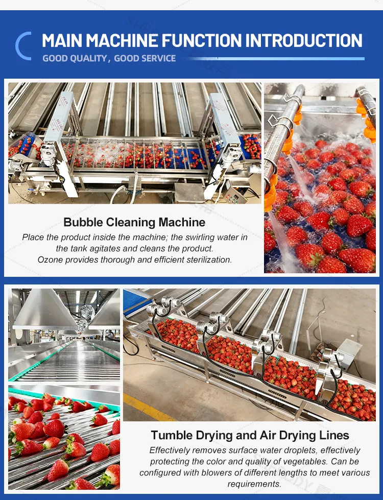 Processing Machine Details 1