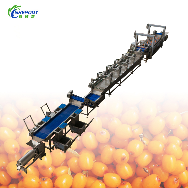 1500kg Fruit and Vegetable Washing Cleaning Processing Line for Quality Assurance
