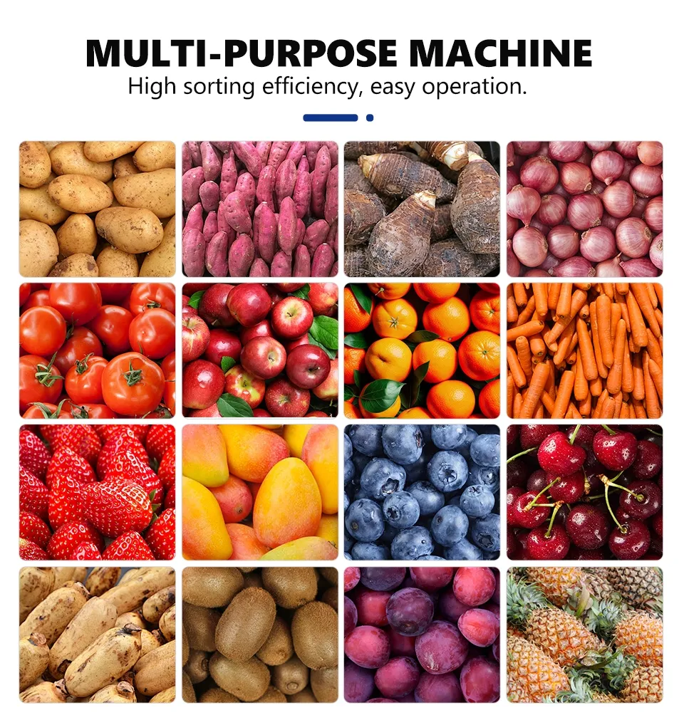 Fruit Grading Process
