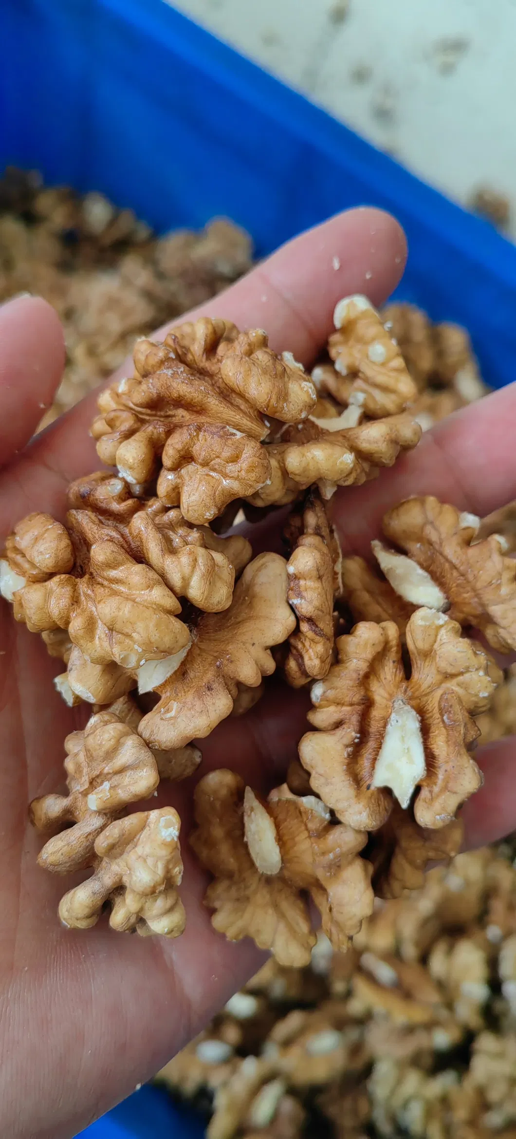 بذور جوز فاخرة