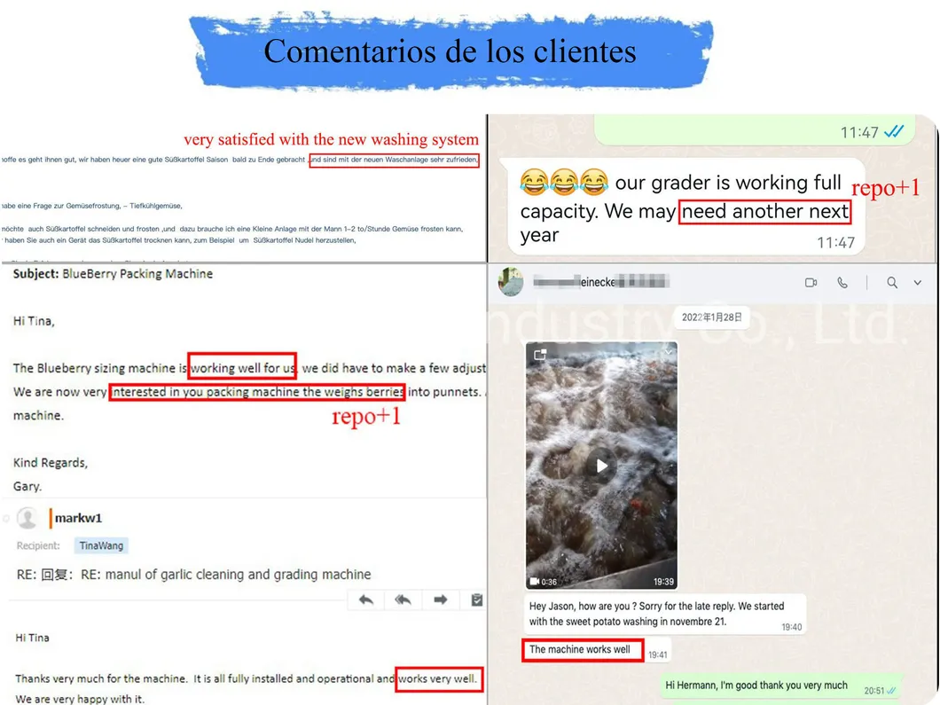 خط معالجة الأفوكادو الآلي مع ميزات الغسيل والفرز