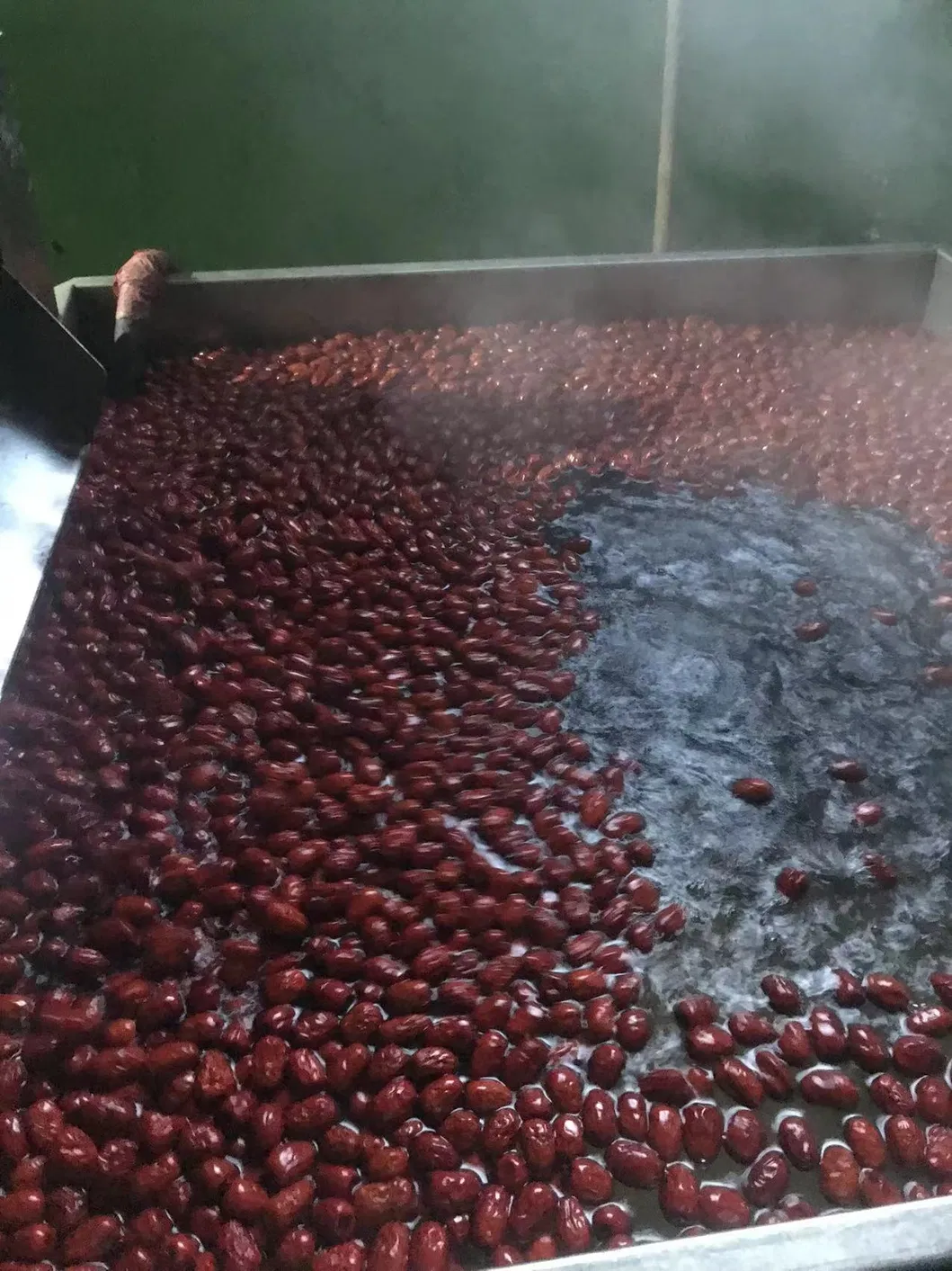 فواكه الجوجوبا المجففة بالجملة الممتازة للتوزيع العالمي