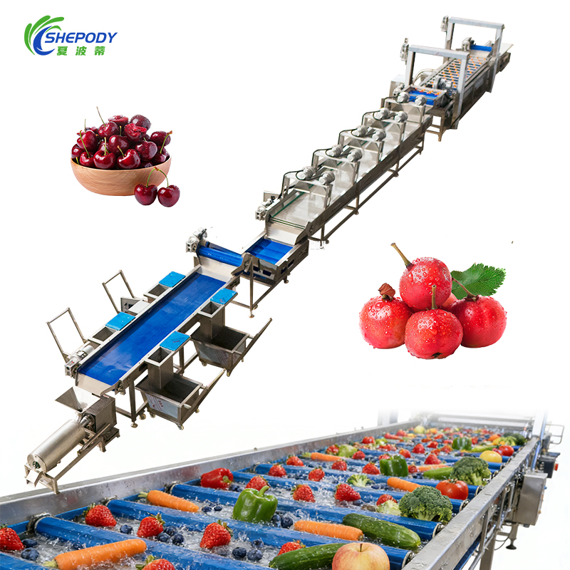 1500kg Fruit and Vegetable Washing Cleaning Processing Line for Quality Assurance
