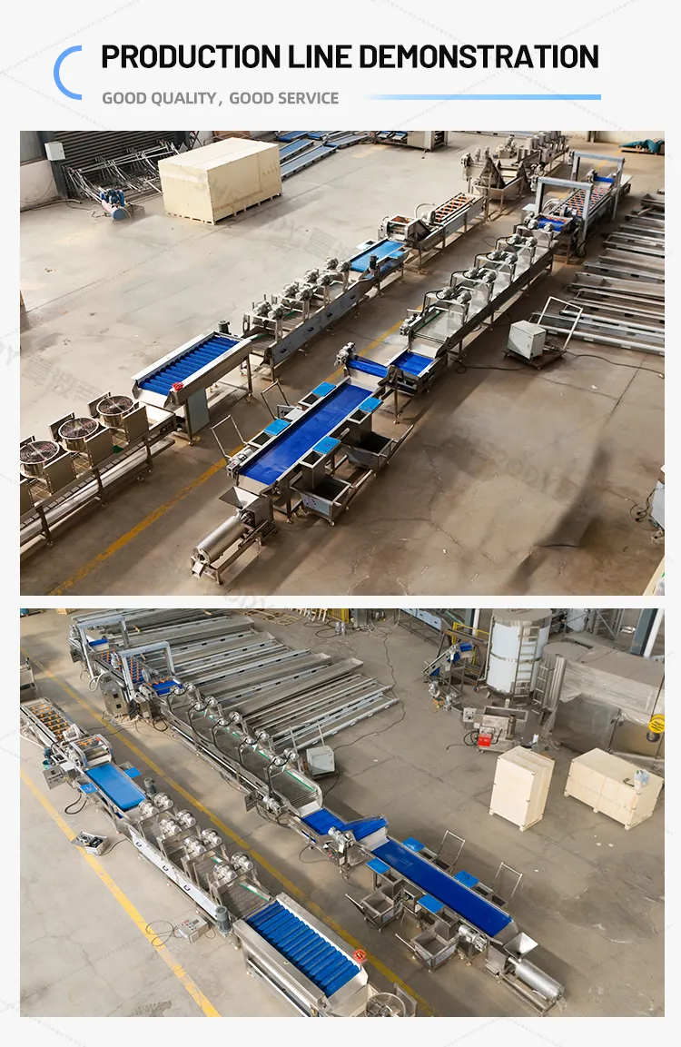 Processing Machine Details 3