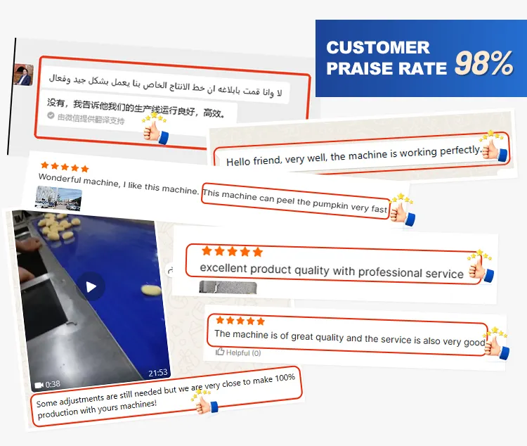 Client Feedback and Reviews