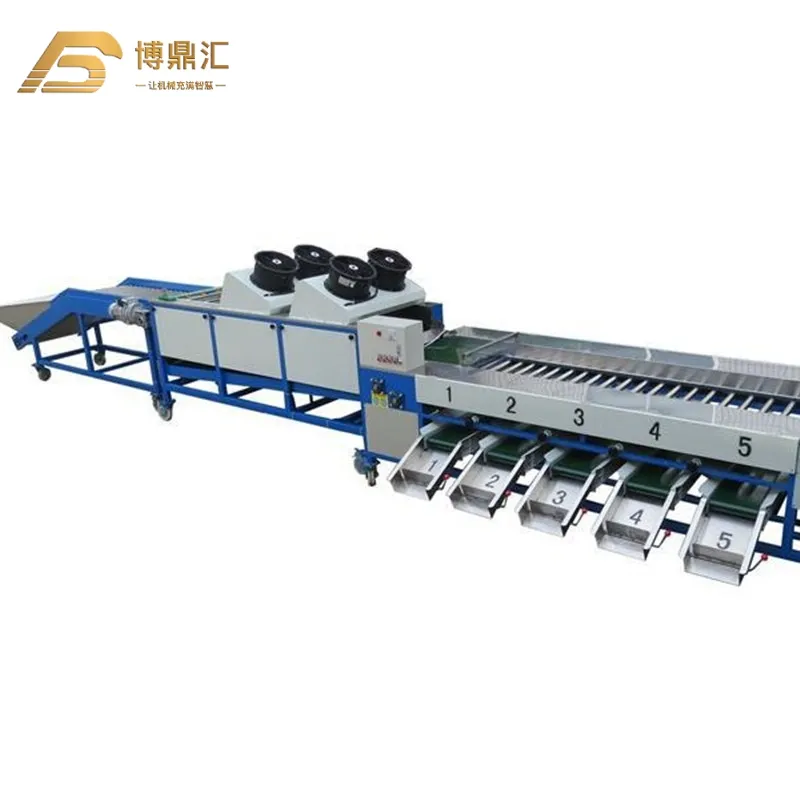 Potato Tomato Orange Fruit Apple Lemon Washing Drying Sorting Grading Machine