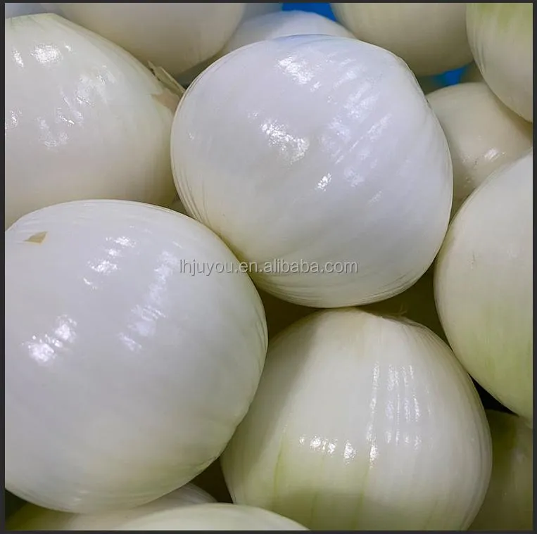 أجزاء آلة تقشير البصل