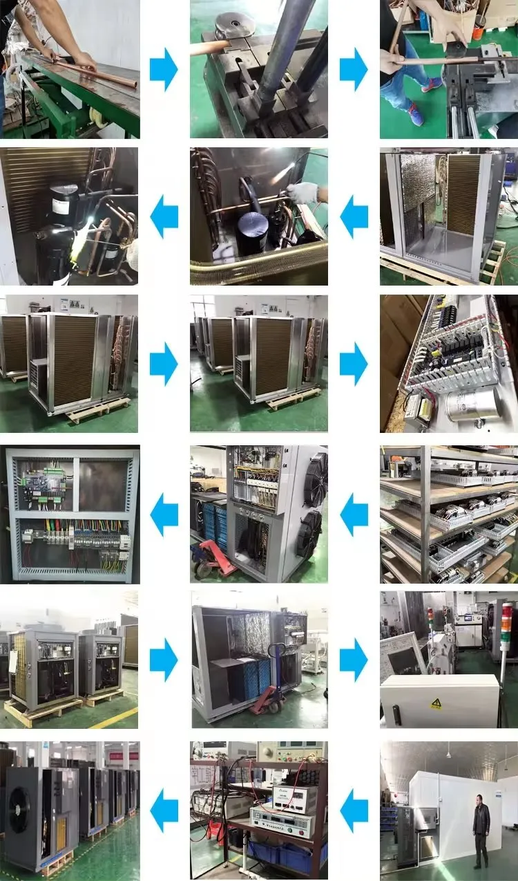 نظام تجفيف مضخة حرارة متكامل مع PLC 24 ساعات بكفاءة للفواكه والخضروات والتوابل