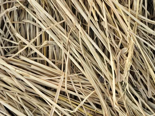 Straw