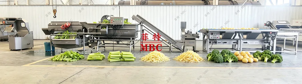 خط غسيل الفواكه والخضروات الصناعي