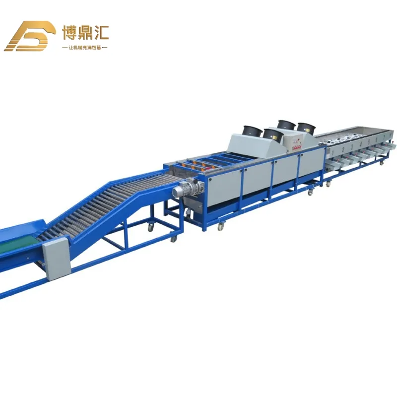 Potato Tomato Orange Fruit Apple Lemon Washing Drying Sorting Grading Machine