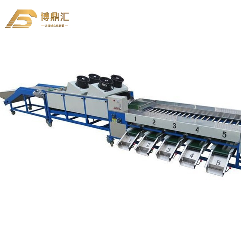 Potato Tomato Orange Fruit Apple Lemon Washing Drying Sorting Grading Machine