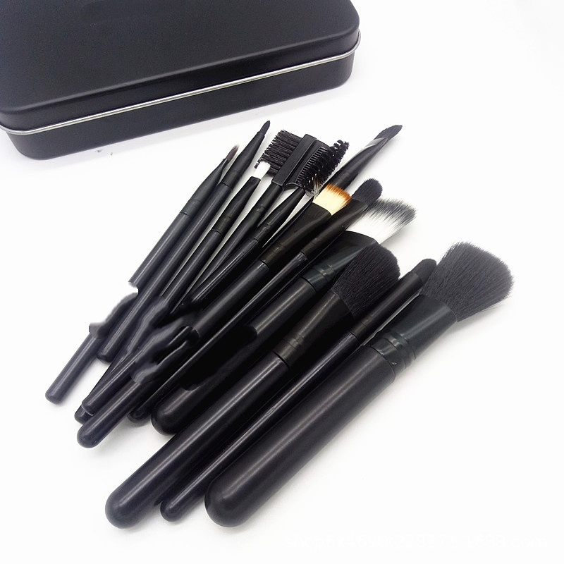 Novo 12-Piece Conjunto de Pincéis de Maquiagem em uma Caixa de Metal com Pincéis de Blush, Sombras e Base com Cabos de Plástico