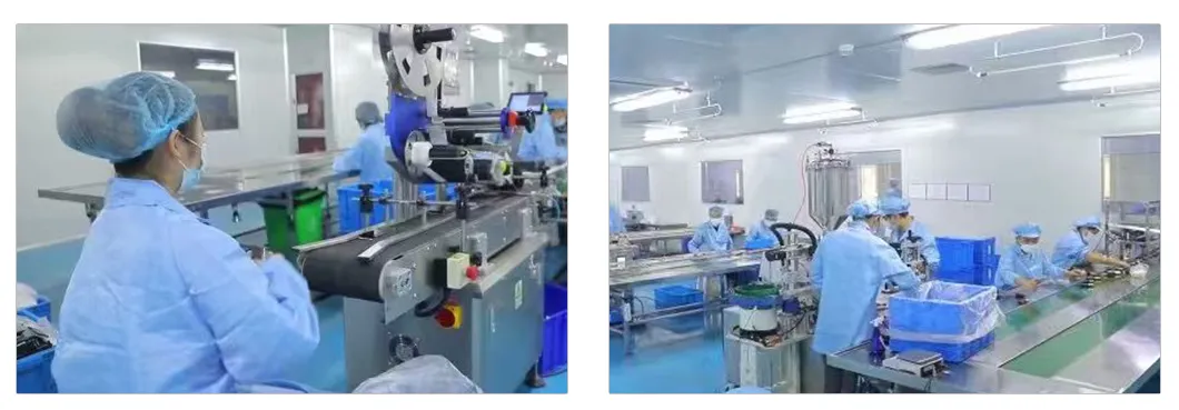 Equipe e Produção
