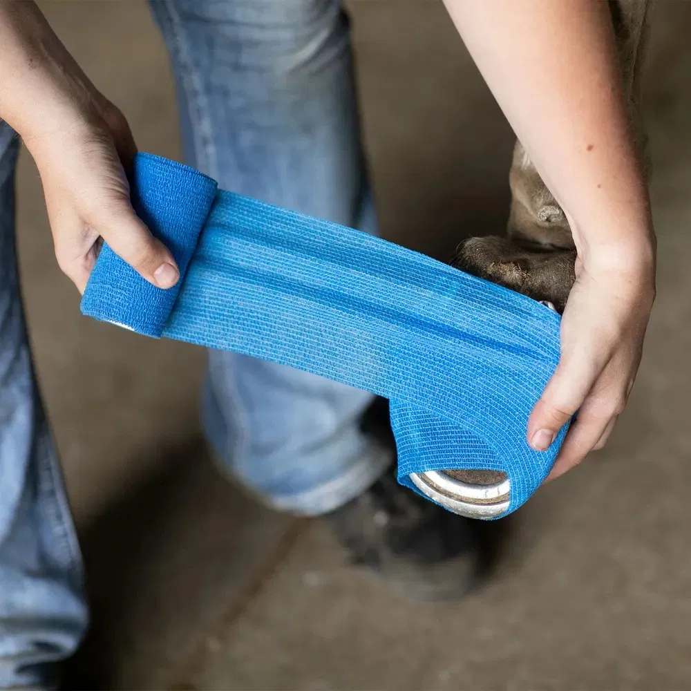 3 Inches Athletic Elastic Medical Cohesive Bandages for Ankles, Knees, Wrists and Elbows