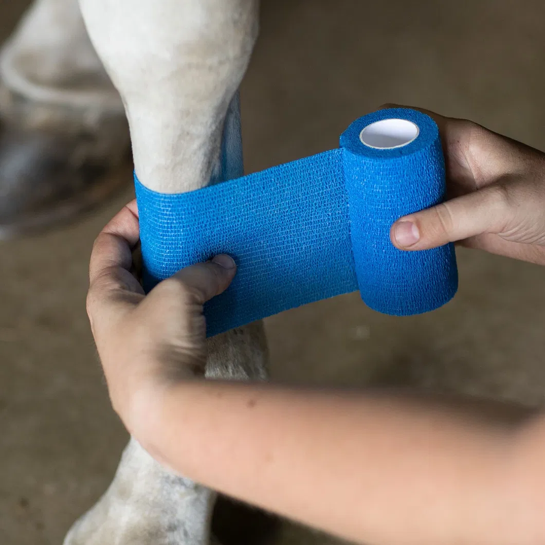 Vet Wrap for Horses