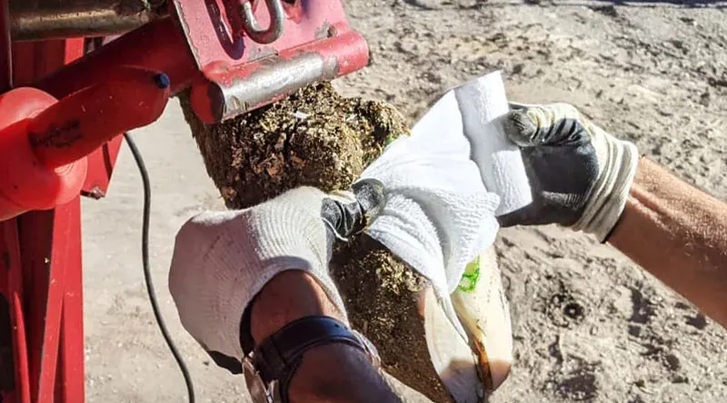 Biodegradable Bandage 3