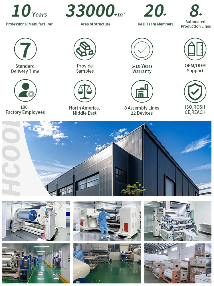 Car Vinyl Wrap Detail 8