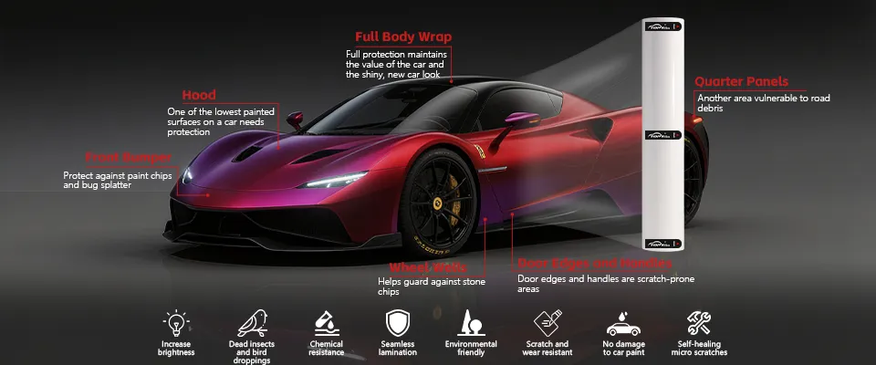 Paint Protection Film Banner