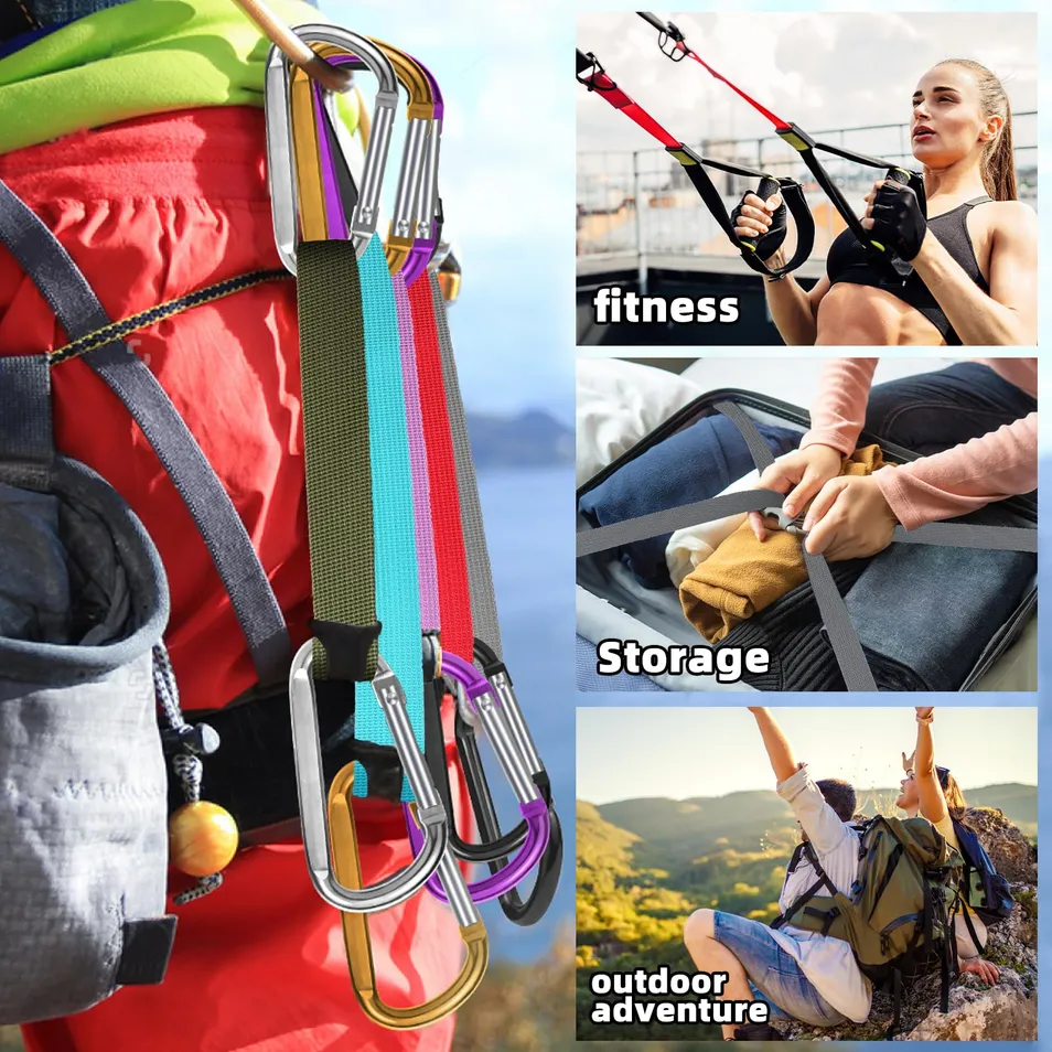 PP Webbing Application 1