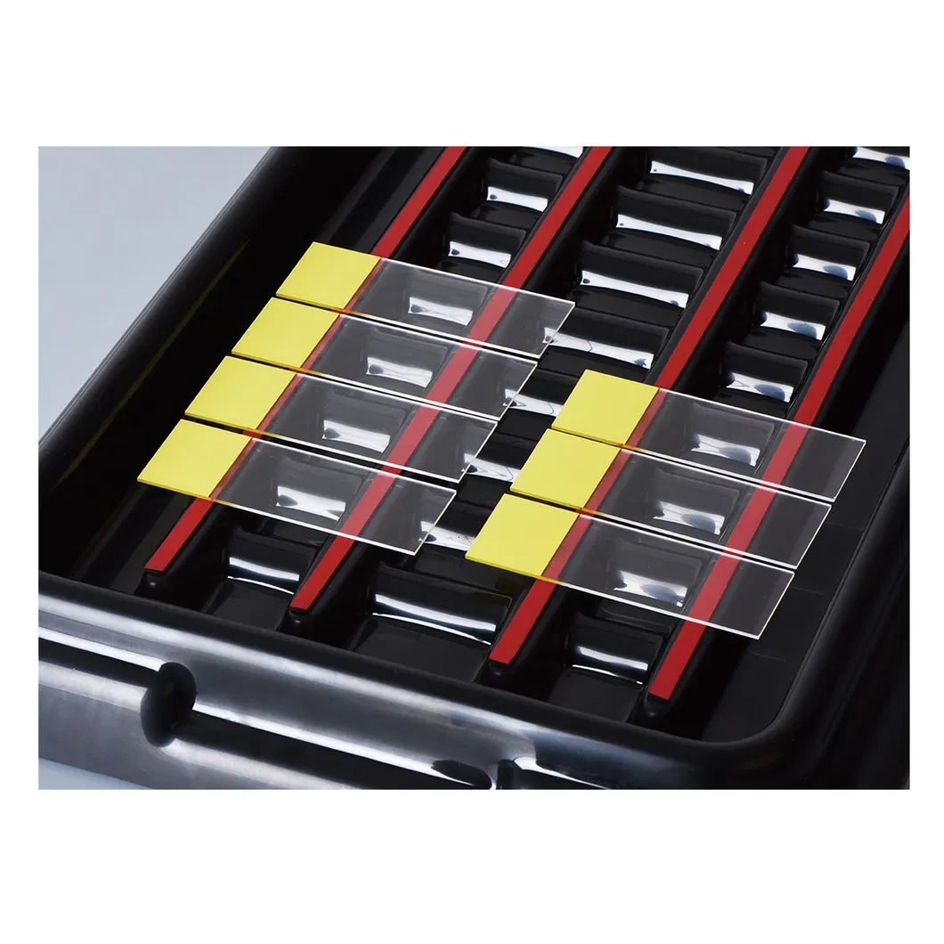 Slide Staining Plate Detail 3