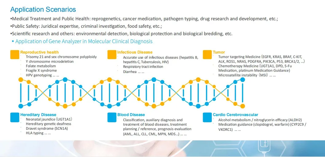 Genetic Analyzer Display 7