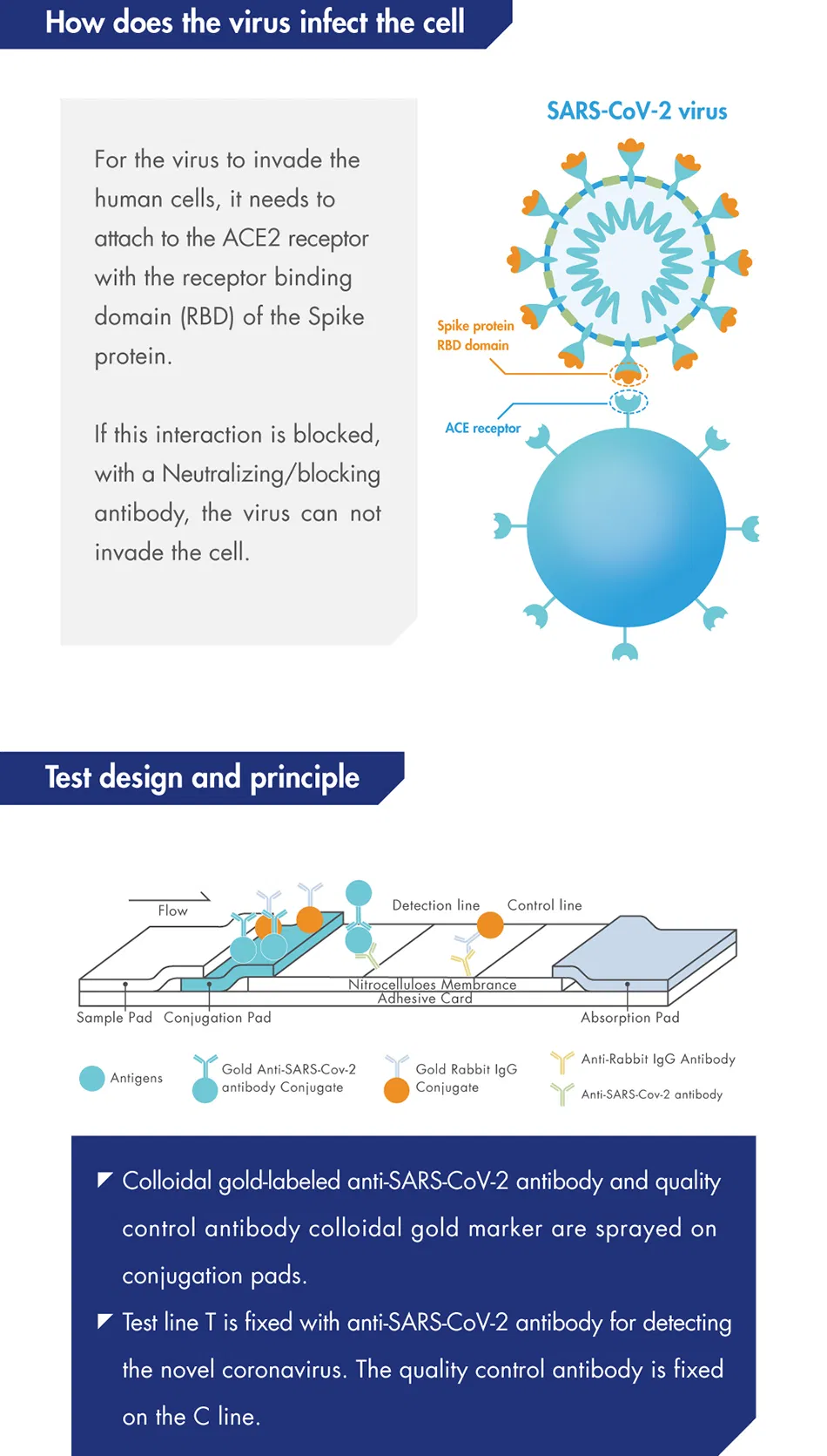 Product Detailed View