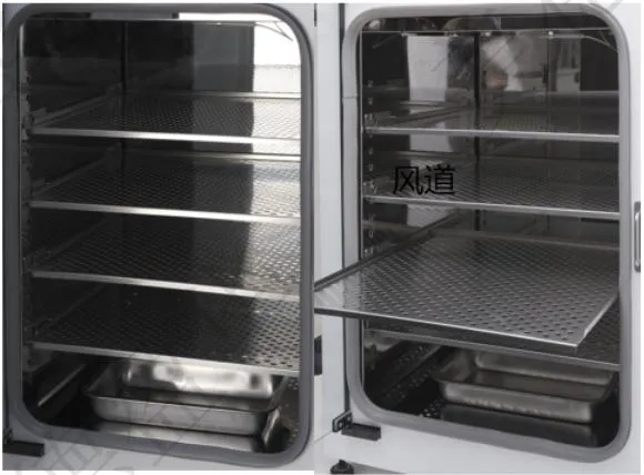 Thermostatic Incubator