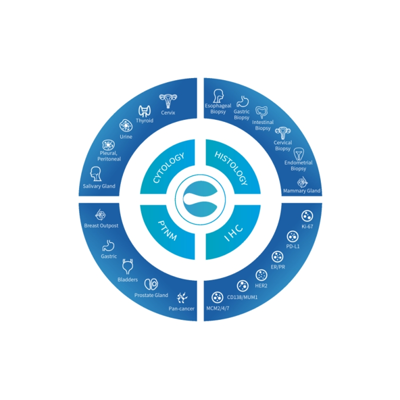 Pathology Ai Diagnosis Equipment Medical Instrument Laboratory Equipment