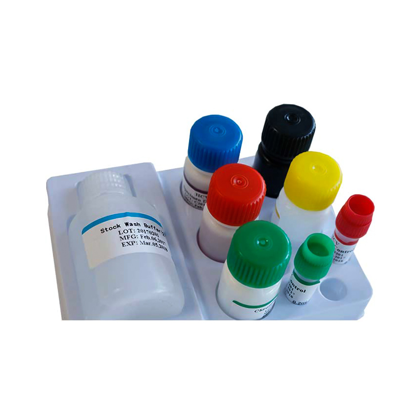Biobase China W Clinical Diagnostic Elisa Kits HIV Rapid Test Kits and Reagents