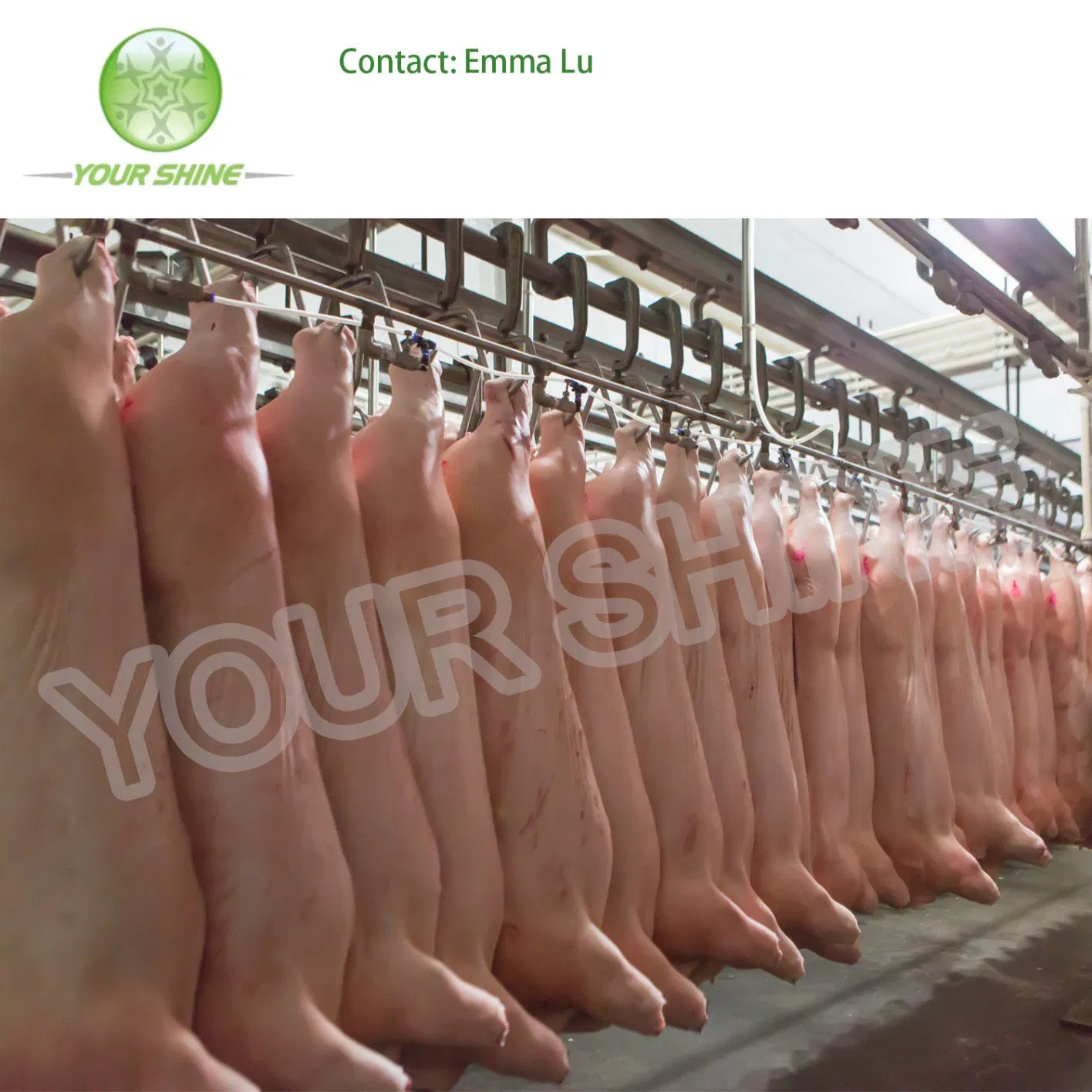 High Quality Chiller /Cold Storage/New Refrigeration Units