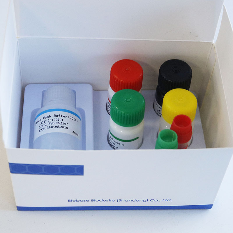 Biobase China W Clinical Diagnostic Elisa Kits HIV Rapid Test Kits and Reagents