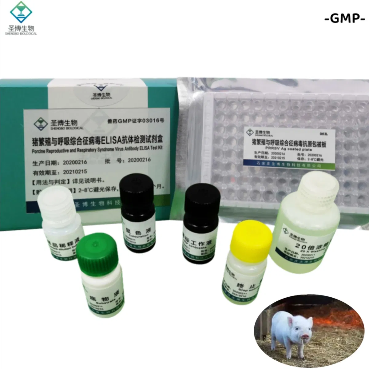 China GMP Factory Direct Porcine Reproductive and Respiratory Syndrome Virus Prrsv Antibody Elisa Test Kit Veterinary Diagnostic Reagent