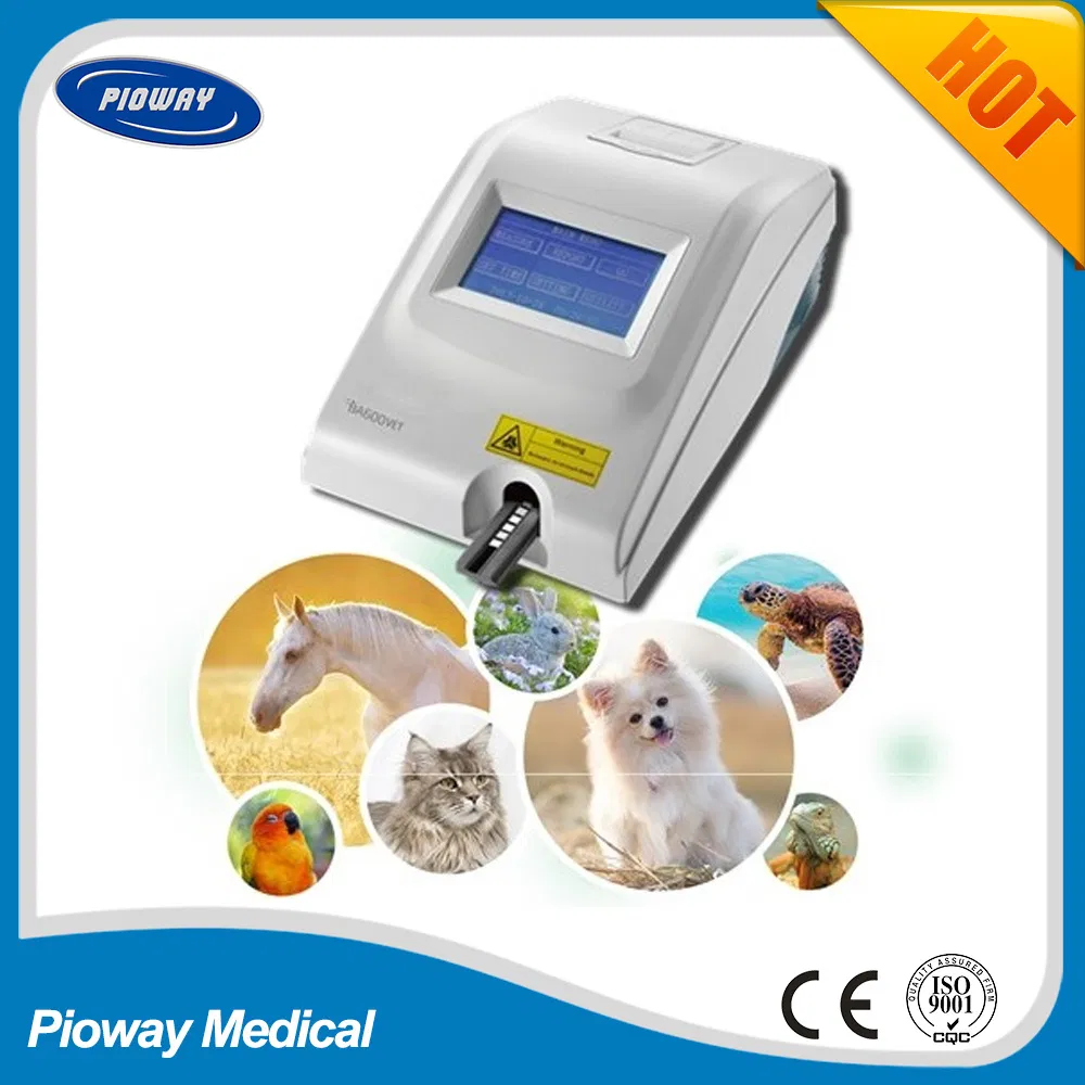 Medical Veterinary Equipment Urine Analysis System (BA600 VET)