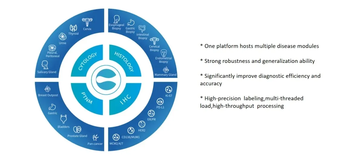 Application Overview