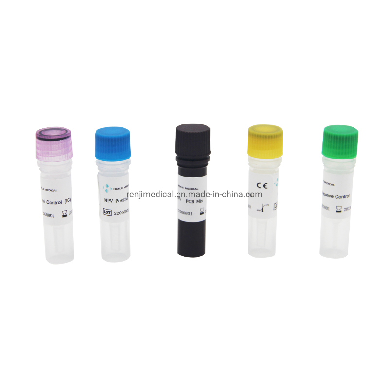 MPV Test Kit Molecular Test Monkeypox Virus Rt- PCR Kit
